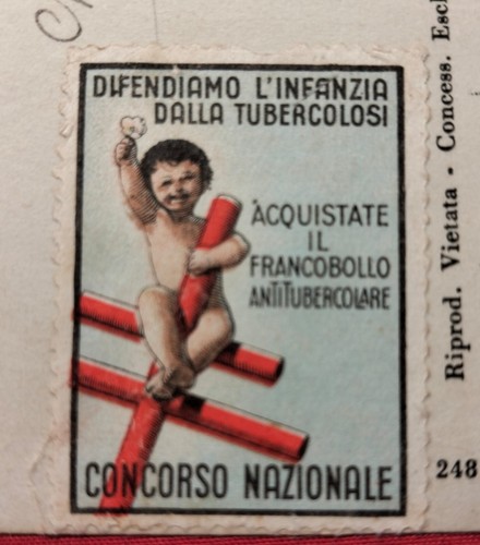 Erinnofilo lotta anti - lotta,